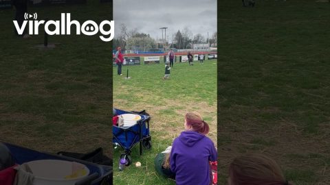 First Game and Still Learning the Rules of T-Ball || ViralHog