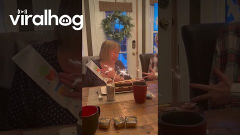 Grandma Tries to Blow Out Sparkler Candles || ViralHog