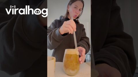 Iced Coffee Shatters Wine Glass || ViralHog