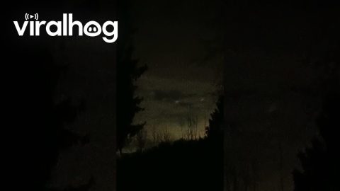 Unexplained Lights Over Belgium Province || ViralHog