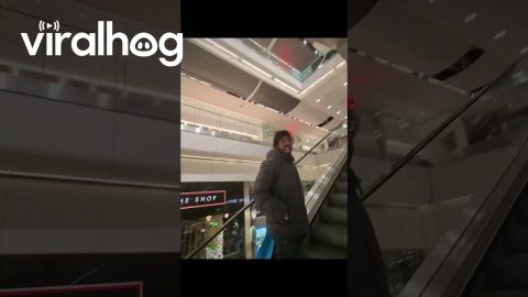 Having a Bad Day at the Mall || ViralHog