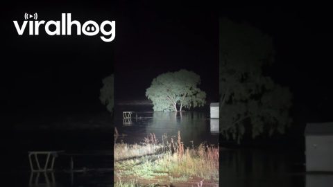 Site Office Floats Past House || ViralHog