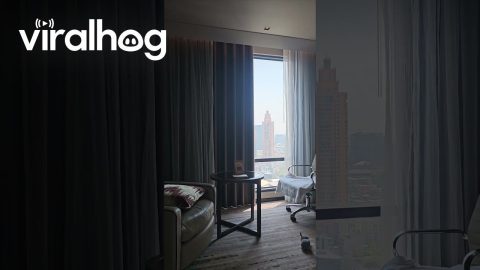 Thailand Earthquake Sways High-Rise Hotel Room || ViralHog