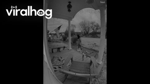Security Camera Catches Chair Fail || ViralHog
