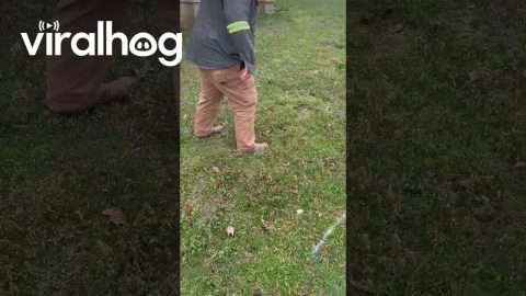 Water Bubble in the Grass || ViralHog