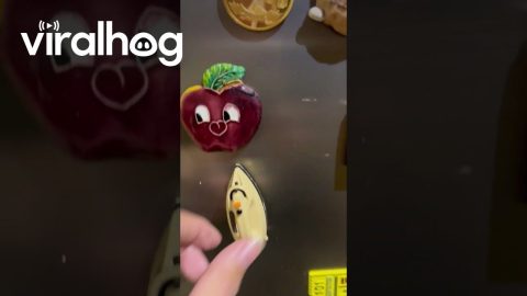 Grandma's Fridge Covered In Tiny Household Items || ViralHog