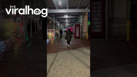 Hitting The Splits During Singing In The Rain || ViralHog
