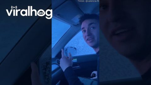 Man Tries to Close Car Door in Iceland Storm || ViralHog