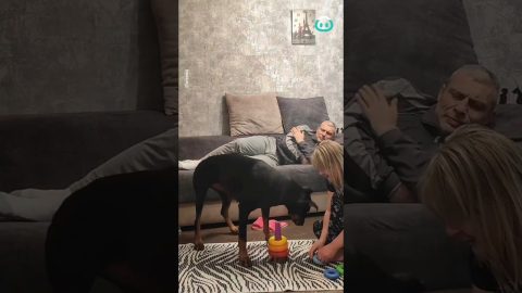 Dog Wakes Up Snoring Human Dad || ViralHog
