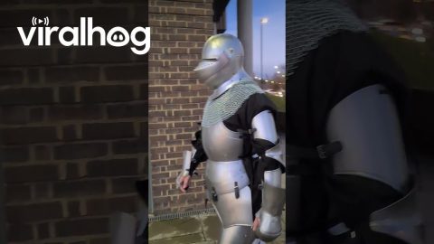 Sir Knight Goes on a Shopping Trip || ViralHog
