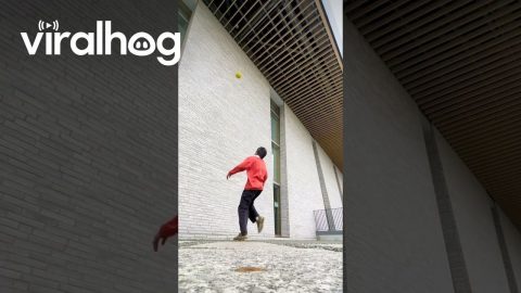 Soccer Player Kicks Ball Into Rafters || ViralHog