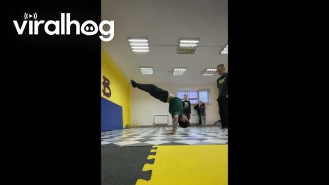 Backward Push-up || ViralHog