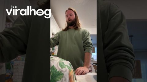 3-Year-Old Uses Alexa to Hold Dad to His Word || ViralHog