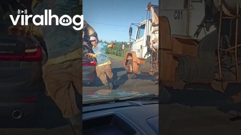 Angry Bull Destroys BMW || ViralHog