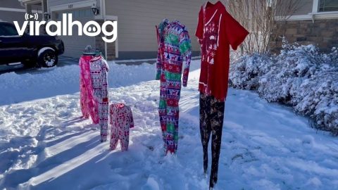 Frozen Christmas Pajamas || ViralHog