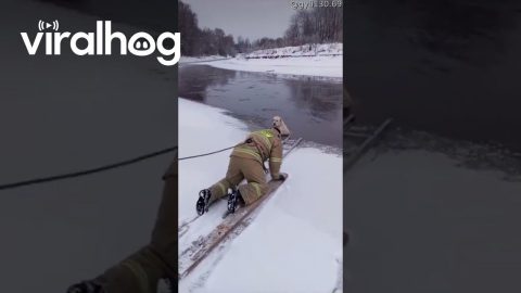Dog Rescued From Freezing Water || ViralHog