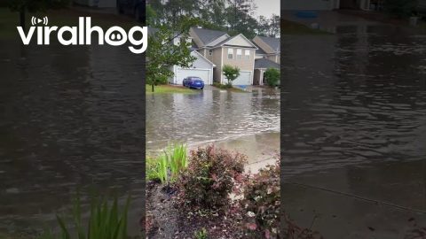 Flooding and Hail Storm || ViralHog