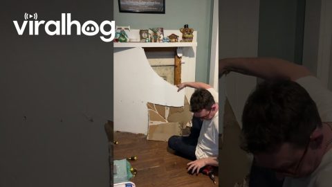 Antique Fireplace Surround Discovered In Vintage Home || ViralHog