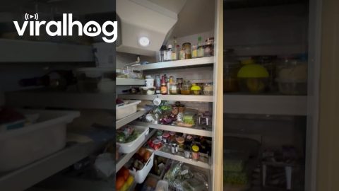 Huge Walk-In Fridge || ViralHog