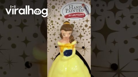 Beauty And The Beast Merchandise Fail || ViralHog