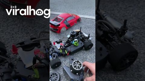RC Car With Action Figure Operators || ViralHog