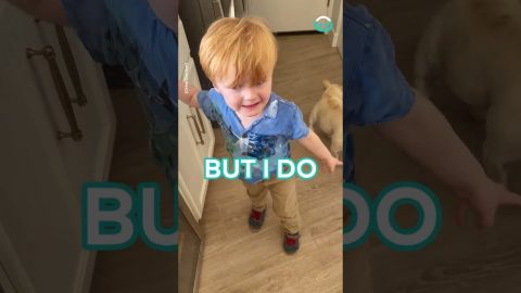 Kid Desperately Needs To Call Taylor Swift || ViralHog