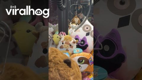 Claw Machine Game Doesn't Let Go || ViralHog