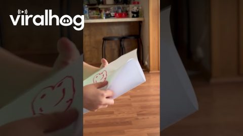 Son Draws Smiley Suggestive Picture For Mom || ViralHog
