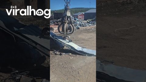 Children's Bicycle in a Landfill || ViralHog