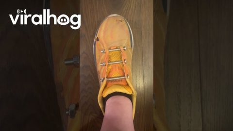 Shoes Impractically Bolted On || ViralHog