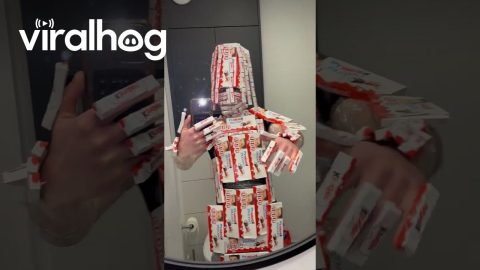 Man in a Kinder Chocolate Suit || ViralHog