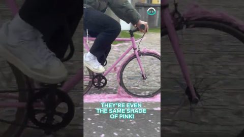 Pink Bike Rides Over Pink Flowers || ViralHog