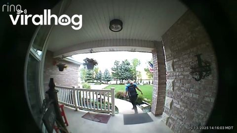 Patriotic Delivery Driver Fixes Tangled Flag || ViralHog