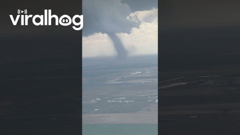 Amazing Landing at DIA Next to Tornado || ViralHog