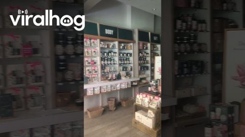 Nation-Wide Electrical Outage in Portugal || ViralHog