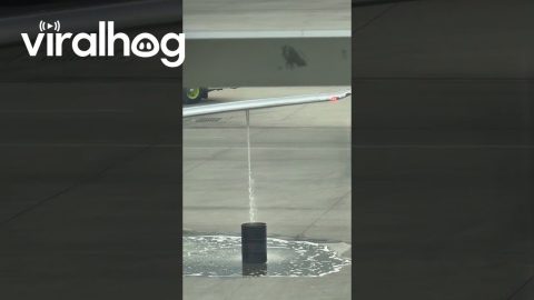 Alaska Airlines Third Fuel Spill Before Flight to Seattle || ViralHog