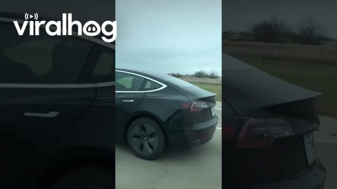 Tesla Driver Appears to Sleep on Autopilot || ViralHog