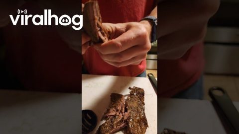 Ripping Grandma's Roast Dinner Apart || ViralHog