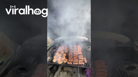 Meat Grilled On BMW Barbecue || ViralHog