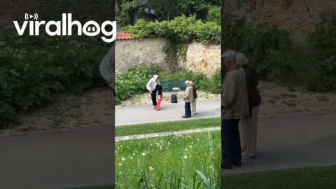Skateboarder Explains Trick To Elderly Couple || ViralHog
