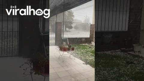 Never-Before-Seen Hailstorm Pummels Chivilcoy || ViralHog
