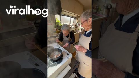 Grandma With Quick Reflexes Catches Loose Veggie || ViralHog
