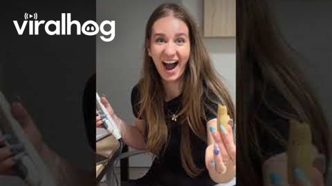 Using a Flat Iron to Uncork a Wine Bottle || ViralHog