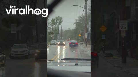 Pittsburgh Wind Storm Aftermath || ViralHog