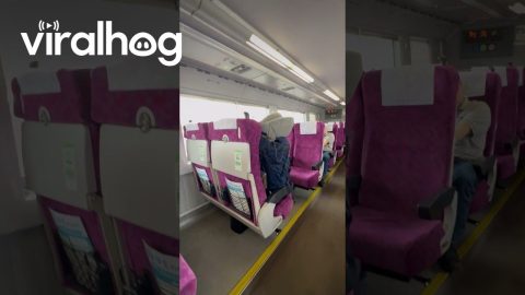 Tourist Discovers Japanese Train Chairs || ViralHog