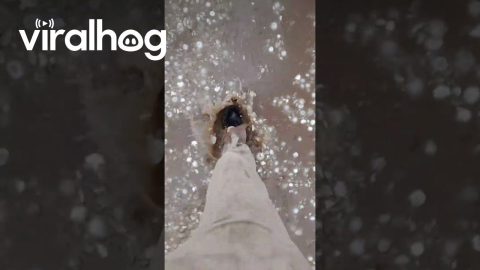 Intense Hailstorm in Buenos Aires Provence, Argentina || ViralHog