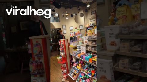 Attention Cracker Barrel || ViralHog