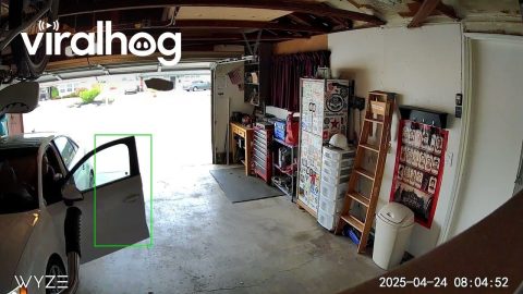 Woman Makes Impressive Trash Toss || ViralHog