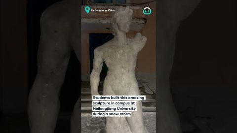 Classic Sculpture In Snow || ViralHog