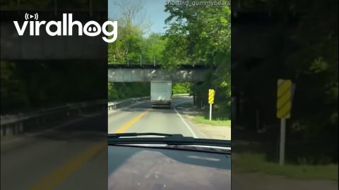 Truck Driver Strikes the Carters Creek Bridge || ViralHog